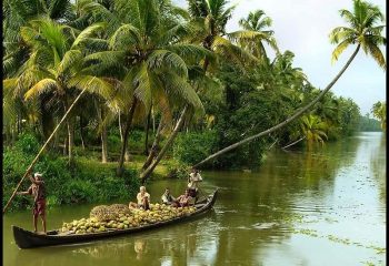 Aleppey (2)525330-20